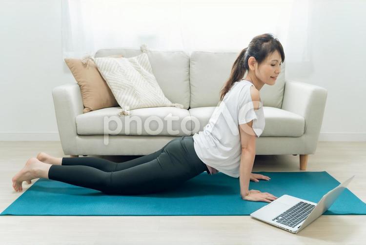 オンラインヨガをする中高年女性 オンラインヨガ,背筋,背中の写真素材