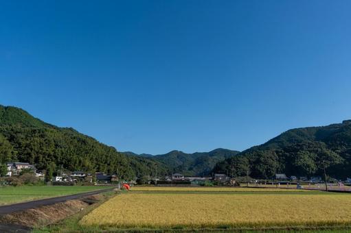 岡部地区の原風景 岡部地区の原風景 田舎,田んぼ,田園の写真素材