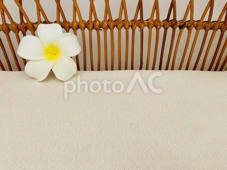プルメリア プルメリア,女性的,造花の写真素材