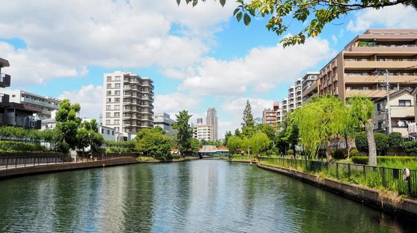 初秋の横十間川親水公園(東京都・江東区) 初秋の横十間川親水公園(東京都・江東区) 初秋,東京都,横十間川親水公園の写真素材