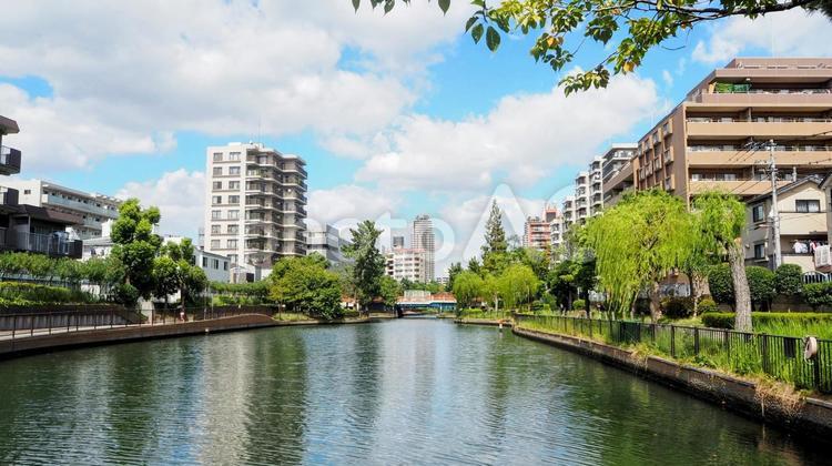 初秋の横十間川親水公園（東京都・江東区） 初秋,東京都,横十間川親水公園の写真素材