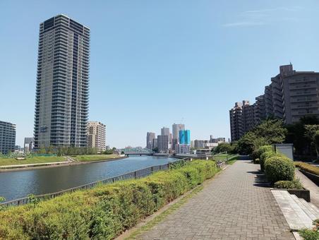 快晴の隅田川 快晴の隅田川 隅田川,快晴,風景の写真素材