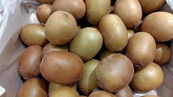 キウイフルーツ キウイ,キウイフルーツ,果物の写真素材