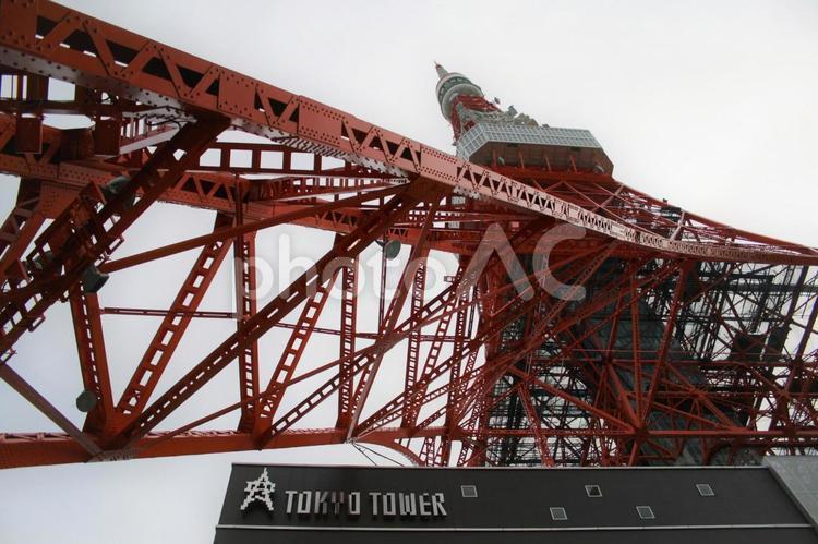 下から見上げる東京タワー 東京タワー,東京,港区の写真素材