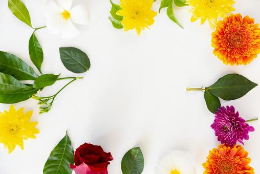 花のフレーム 花,ガーベラ,葉の写真素材