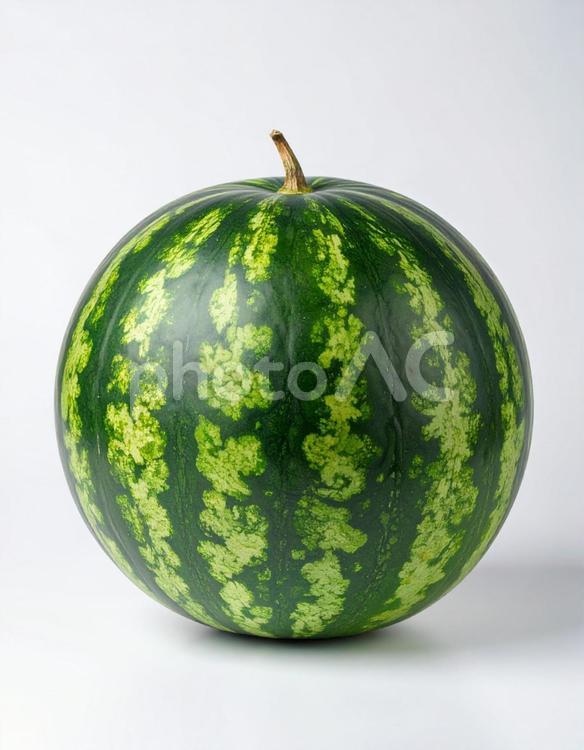 白い背景に一つのスイカ スイカ,自然,野菜の写真素材