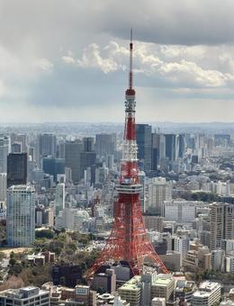 東京タワー 東京タワーの写真