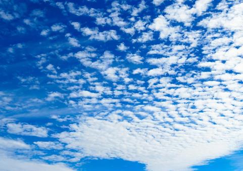 青空に浮かぶうろこ雲 青空に浮かぶうろこ雲の写真