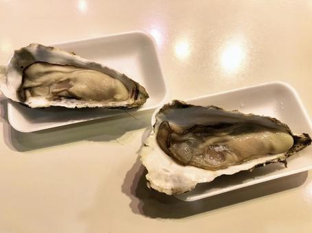 生牡蠣 生牡蠣 牡蠣,貝,食べ物の写真素材