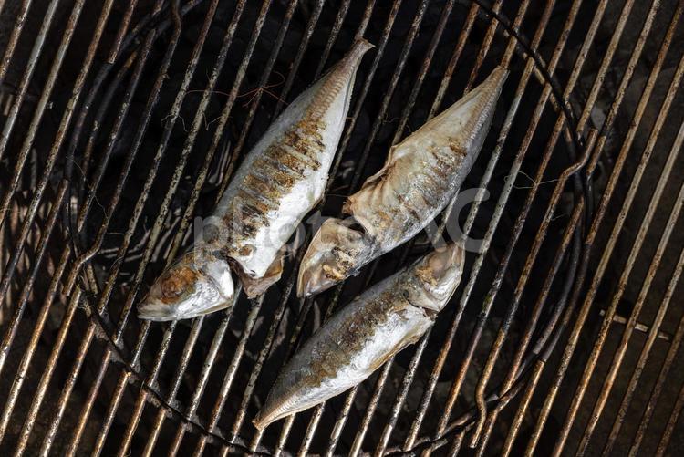 真上から見たアジの網焼き バーベキュー,焼き料理,魚の写真素材