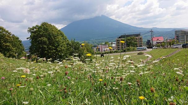 風景 風景の写真