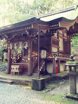 京都府-出雲大神宮-上の社-近景 京都府-出雲大神宮-上の社-近景 出雲大神宮,神社,丹波国の写真素材