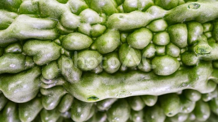 ゴーヤの表面　粒粒　マクロ撮影 ゴーヤ,苦瓜,野菜の写真素材