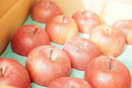 田舎から届いたリンゴ りんご,段ボール,お歳暮の写真素材