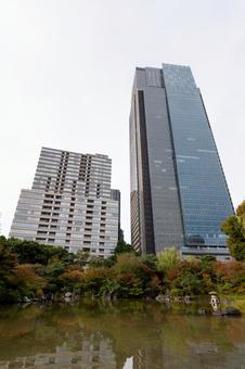 檜町公園 檜町公園,公園,赤坂の写真素材