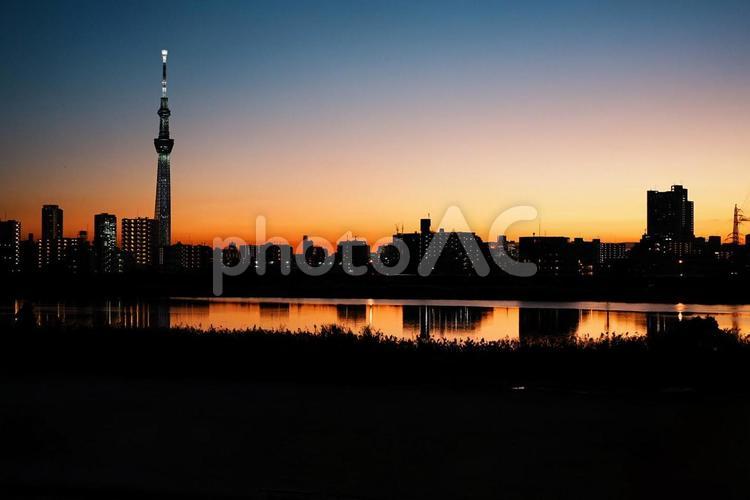 冬の夕焼け 東京,東京スカイツリー,都内の写真素材