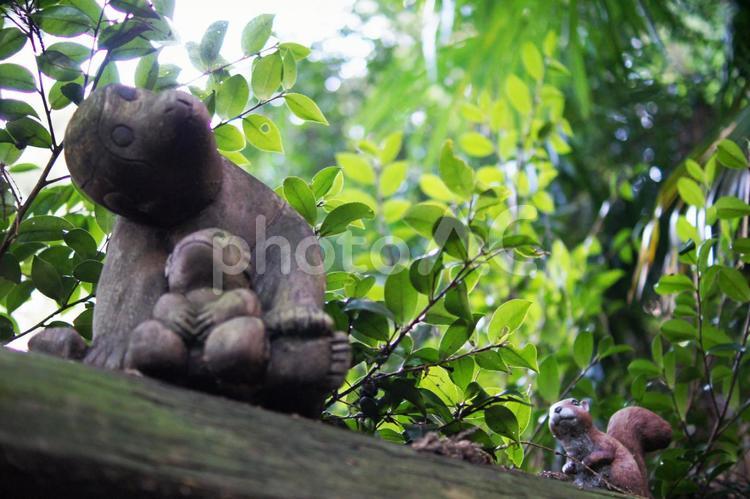 境内の猿とリスの造形物 猿,りす,自然の写真素材