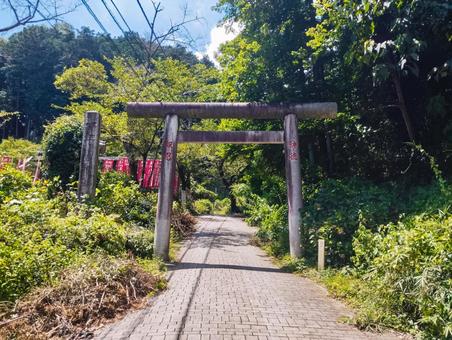 大平山への参道入口 大平山への参道入口 鳥居,神社,参道の写真素材