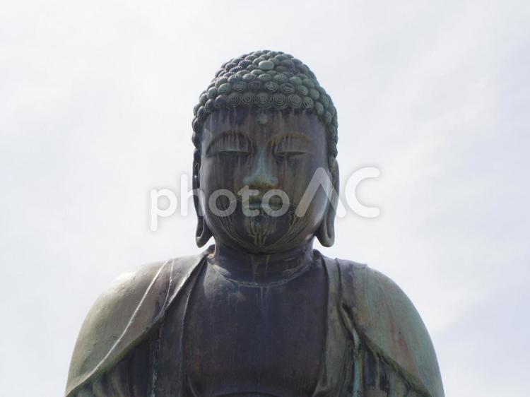 鎌ヶ谷大仏さま 仏像,大仏,鎌ヶ谷大仏の写真素材