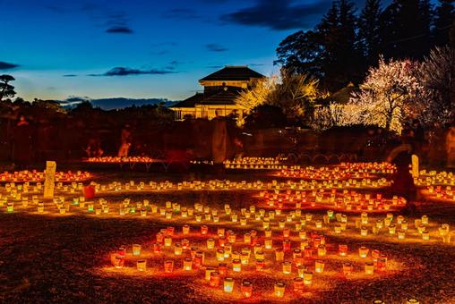 偕楽園　イルミネーション 偕楽園,イルミネーション,花火の写真素材
