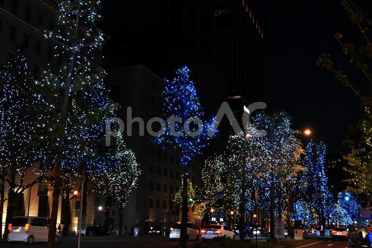 2023御堂筋イルミネーション 御堂筋,イルミネーション,夜景の写真素材