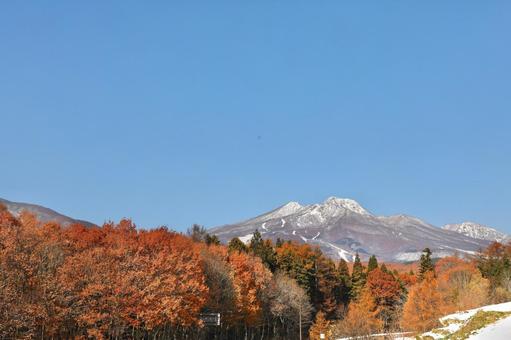 雪景色　新潟県　妙高山　紅葉 空,山,秋の写真素材