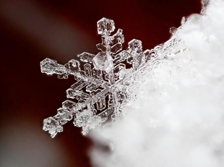 雪の結晶 雪の結晶の写真