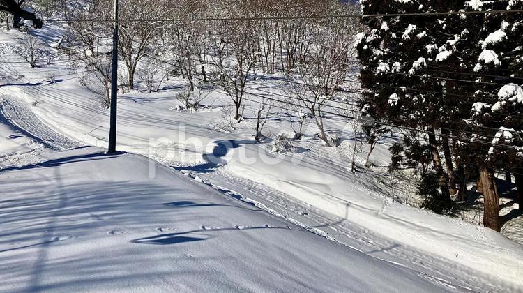 神立スノーリゾートのリフトから見た雪景色 ゲレンデ,スキー場,スキーの写真素材