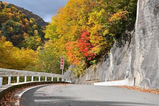 秋の紅葉ドライブイメージ写真 秋の紅葉ドライブイメージ写真 秋ドライブ,秋ツーリング,秋山の写真素材