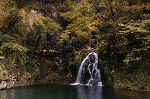 三重-【赤目四十八滝（紅葉）】 赤目四十八滝,赤目四八滝,川の写真素材