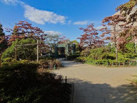 平成つつじ公園の広場 平成つつじ公園の広場の写真