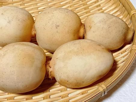 レンコン レンコン,れんこん,蓮根の写真素材