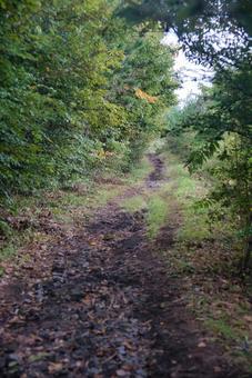 三瓶山の風景の写真