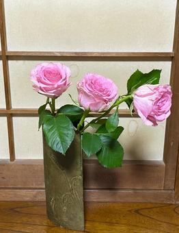 花瓶の花 ピンクのバラ 花瓶の花 ピンクのバラ 花瓶の花,花,フラワーの写真素材