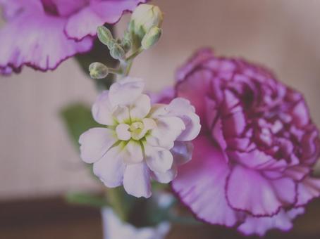 カーネーションと小さな花の花瓶 カーネーションと小さな花の花瓶 カーネーション,母の日,花瓶の写真素材
