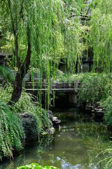 蘇州・留園 蘇州・留園 蘇州,留園,世界遺産の写真素材