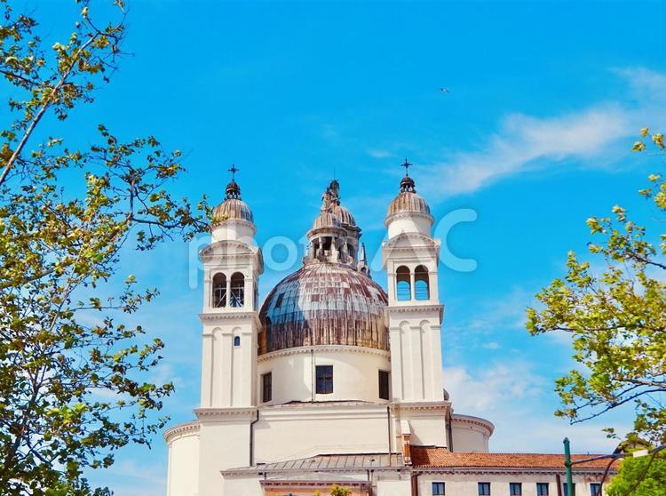 サンタマリアデッラサルーテ聖堂と木々 青空,空,ブルースカイの写真素材