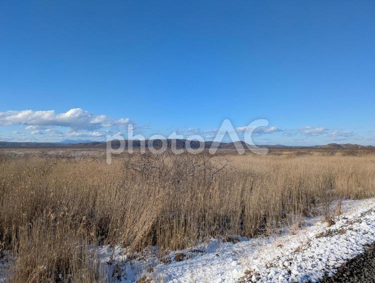 雪と青空と釧路湿原と山々 雪,青空,釧路湿原の写真素材