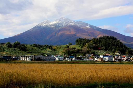 岩木山＿秋晴れ＿実り 初冠雪,津軽富士,津軽平野の写真素材