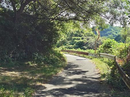 古道1 古道,道,山道の写真素材