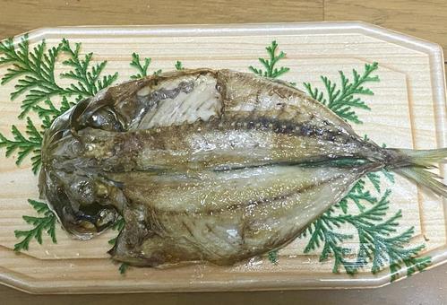 アジの開き 焼き魚 アジ アジの開き 焼き魚 アジ アジの開き,焼き魚,魚の写真素材