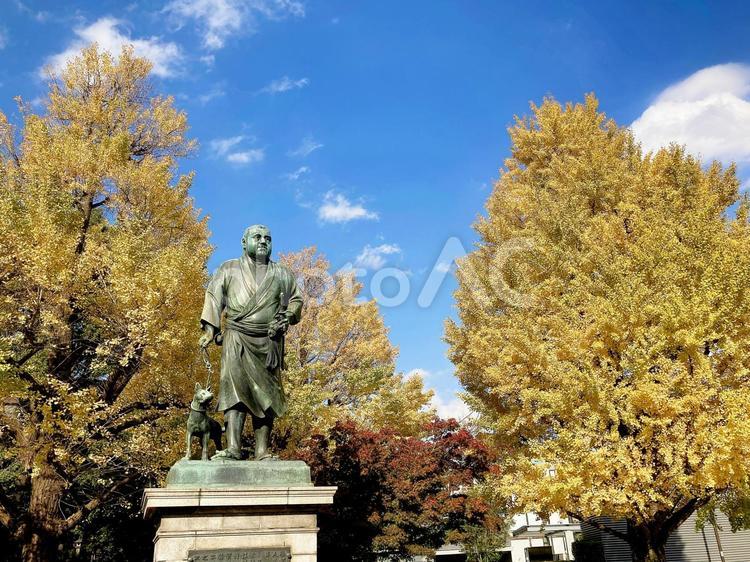 東京風景・上野公園 上野公園,西郷隆盛像,上野恩賜公園の写真素材