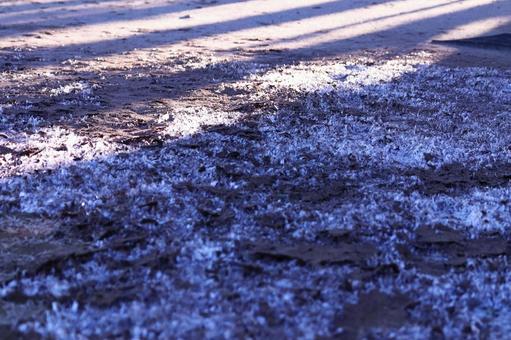 地面に出来た霜柱 地面に出来た霜柱 冬,霜柱,氷点下の写真素材