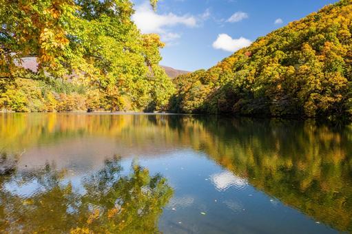 秋の長老湖⑶ 秋,紅葉,長老湖の写真素材