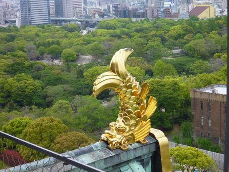 大阪城のしゃちほこ 大阪城のしゃちほこの写真