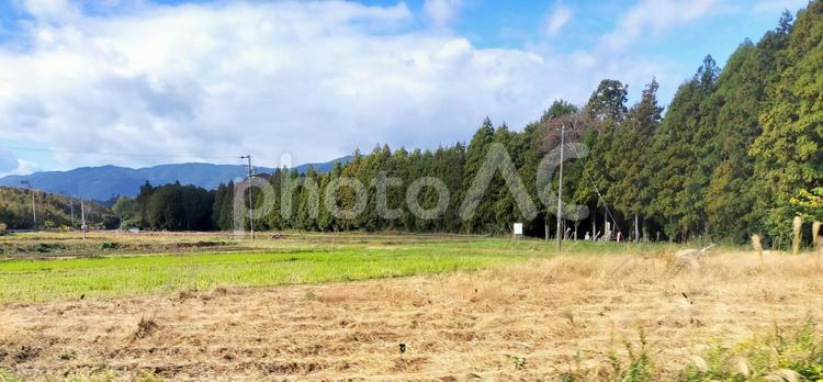 愛知県三河地域　晩秋の田園風景 田園風景,愛知県,三河の写真素材