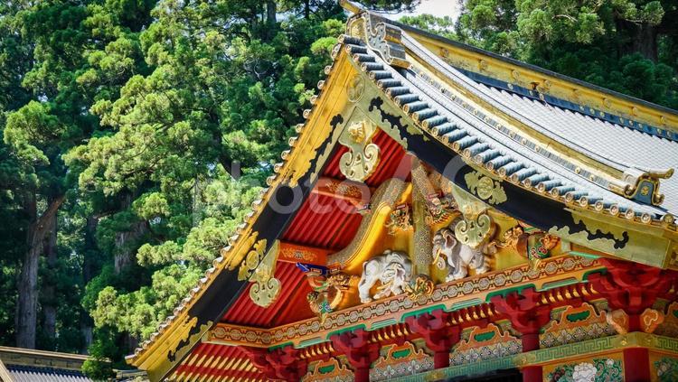 栃木県日光市（東照宮）No7 栃木県,日光市,日本最大規模の写真素材