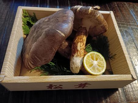 松茸って・・嫌いな人もいるとか。 松茸って・・嫌いな人もいるとか。の写真