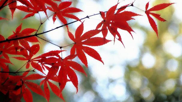紅葉 水彩画風(画像デフォルメ) 紅葉 水彩画風(画像デフォルメ) 紅葉,秋,もみじの写真素材