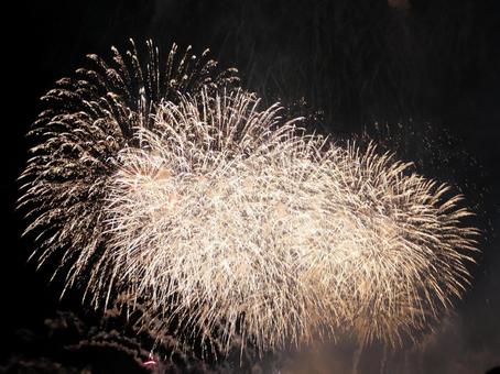 2025年大曲の花火 大曲花火,花火,綺麗の写真素材